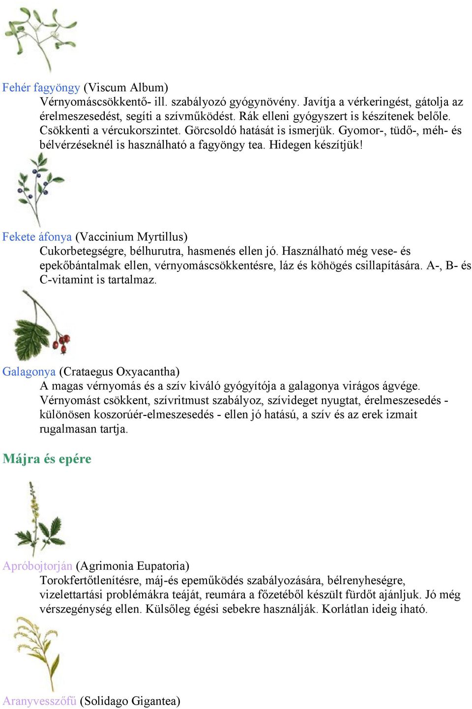 Fekete áfonya (Vaccinium Myrtillus) Cukorbetegségre, bélhurutra, hasmenés ellen jó. Használható még vese- és epekőbántalmak ellen, vérnyomáscsökkentésre, láz és köhögés csillapítására.