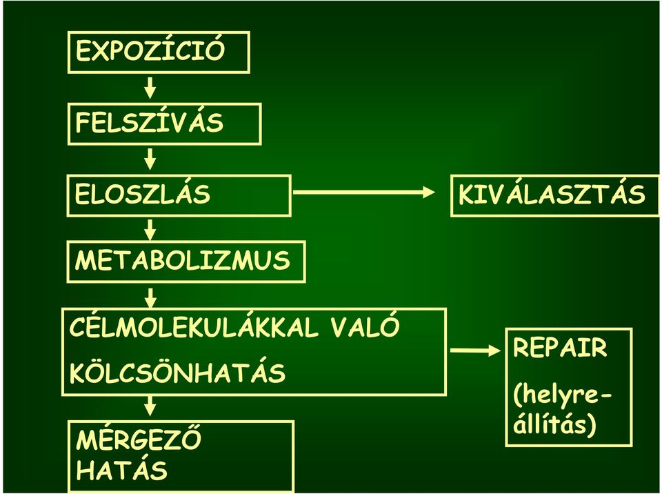CÉLMOLEKULÁKKAL VALÓ