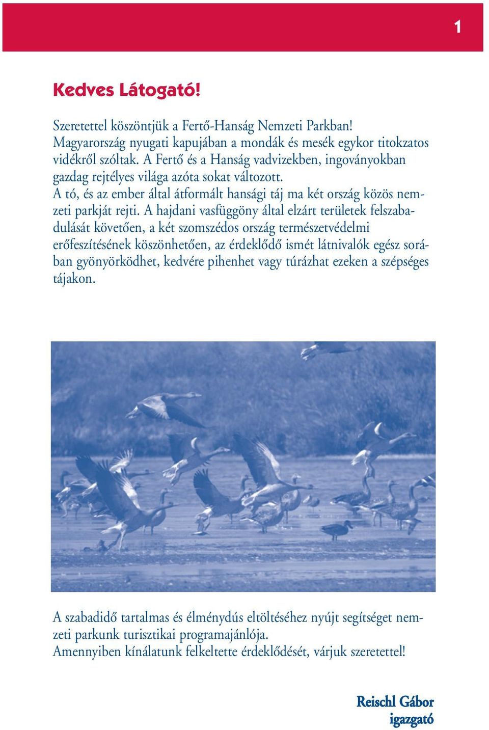 A hajdani vasfüggöny által elzárt területek felszabadulását követœen, a két szomszédos ország természetvédelmi erœfeszítésének köszönhetœen, az érdeklœdœ ismét látnivalók egész sorában gyönyörködhet,