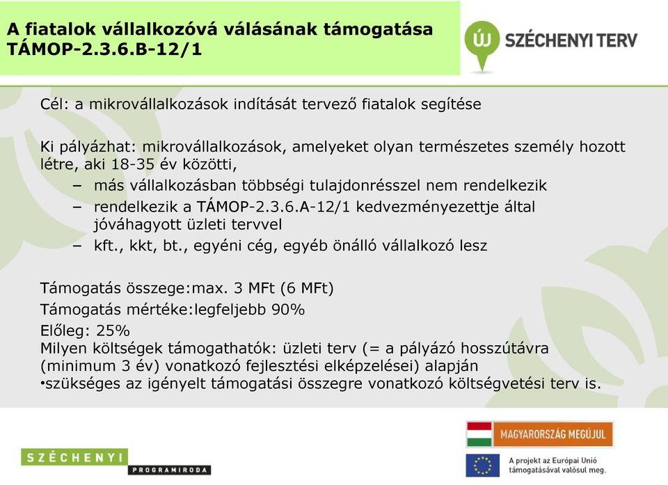 vállalkozásban többségi tulajdonrésszel nem rendelkezik rendelkezik a TÁMOP-2.3.6.A-12/1 kedvezményezettje által jóváhagyott üzleti tervvel kft., kkt, bt.