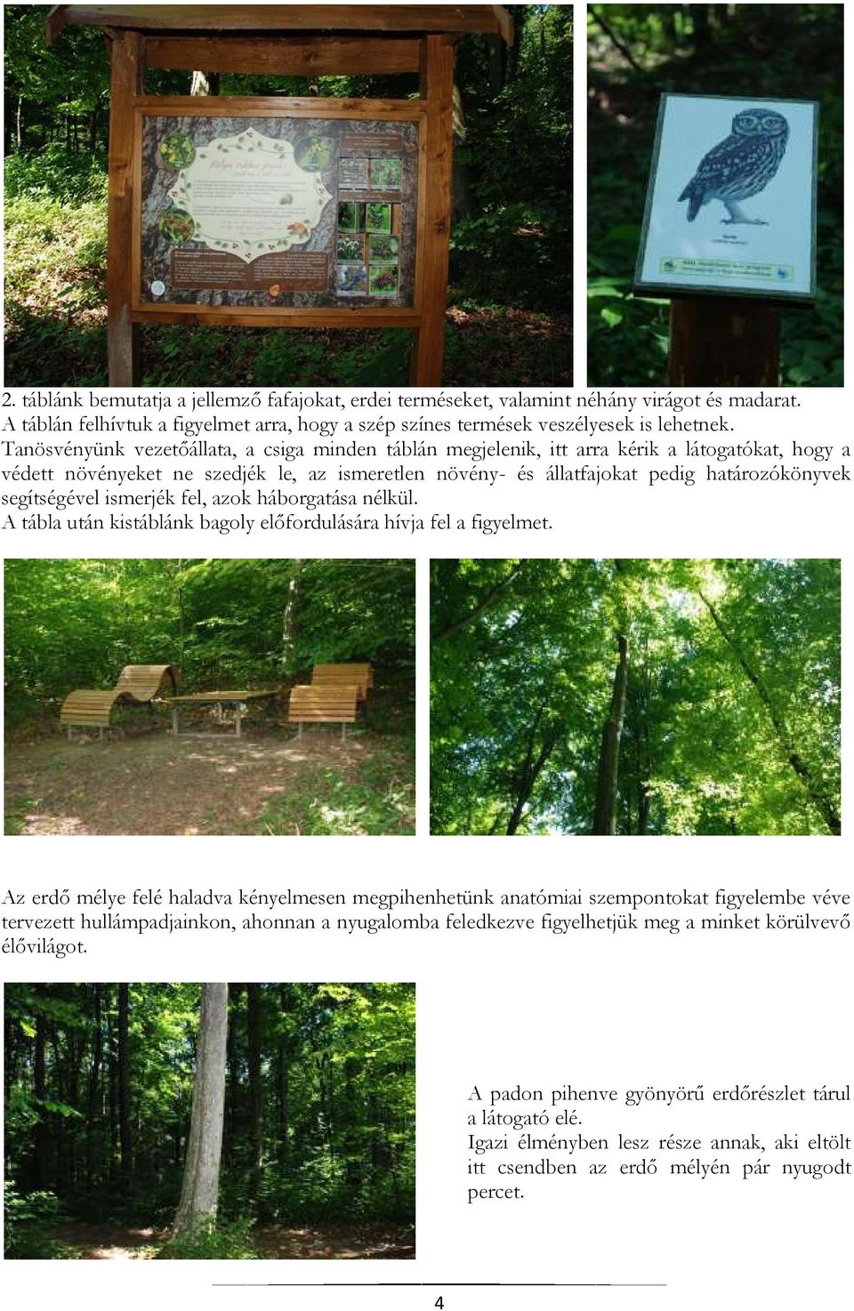 segítségével ismerjék fel, azok háborgatása nélkül. A tábla után kistáblánk bagoly előfordulására hívja fel a figyelmet.