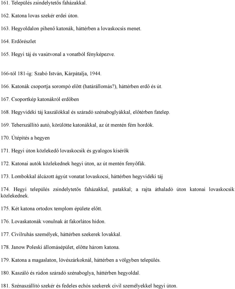 Csoportkép katonákról erdőben 168. Hegyvidéki táj kaszálókkal és száradó szénaboglyákkal, előtérben fatelep. 169. Teherszállító autó, körülötte katonákkal, az út mentén fém hordók. 170.