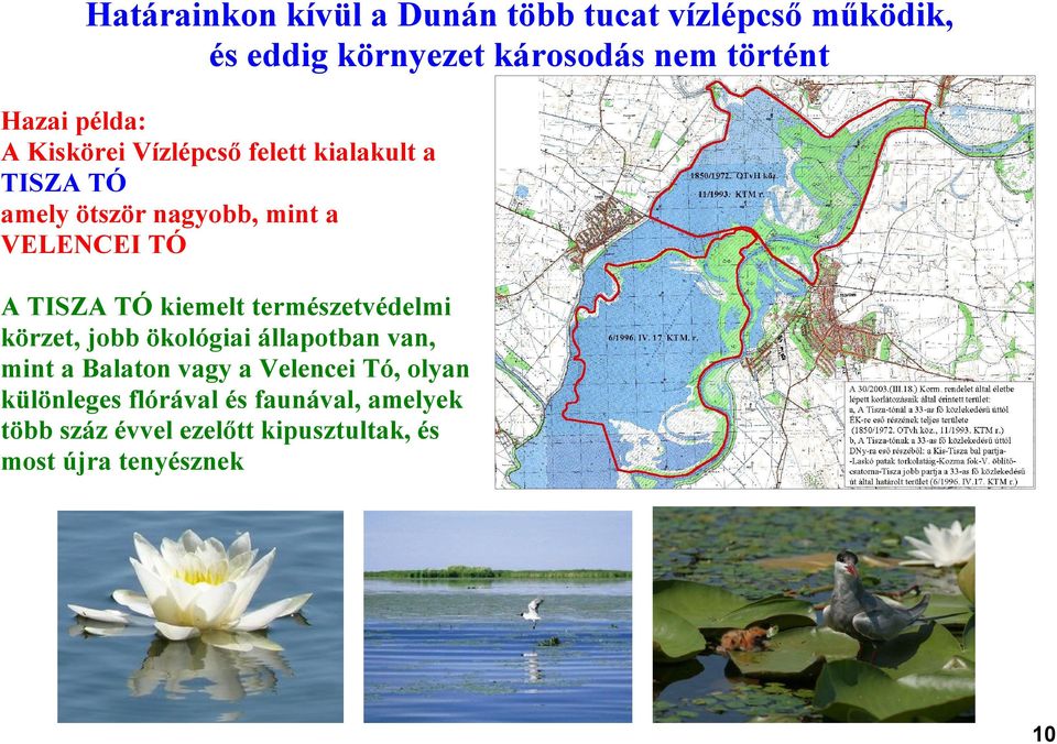 TÓ kiemelt természetvédelmi körzet, jobb ökológiai állapotban van, mint a Balaton vagy a Velencei Tó,