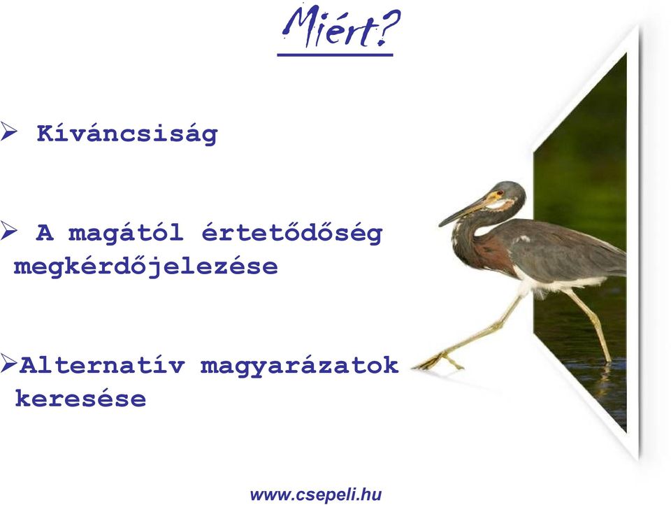 megkérdőjelezése!