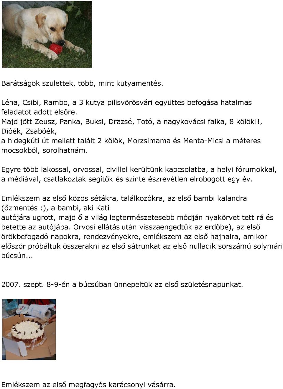 Egyre több lakossal, orvossal, civillel kerültünk kapcsolatba, a helyi fórumokkal, a médiával, csatlakoztak segítők és szinte észrevétlen elrobogott egy év.