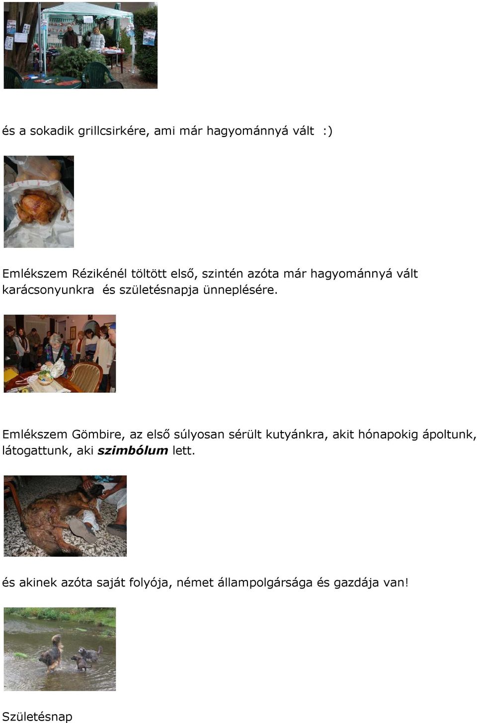 Emlékszem Gömbire, az első súlyosan sérült kutyánkra, akit hónapokig ápoltunk,