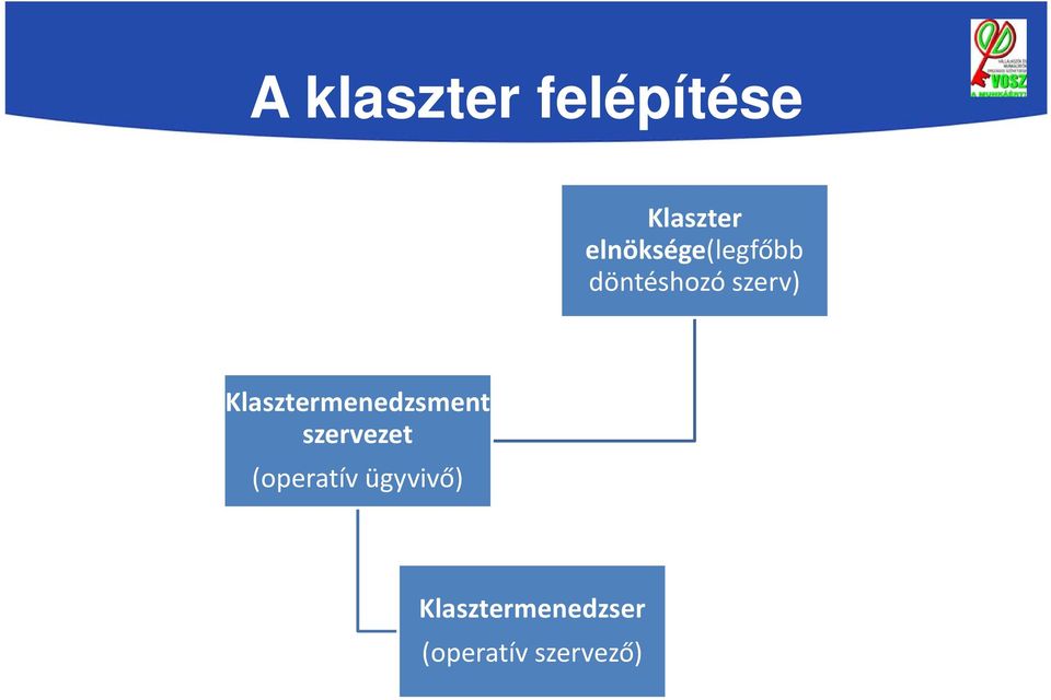 Klasztermenedzsment szervezet