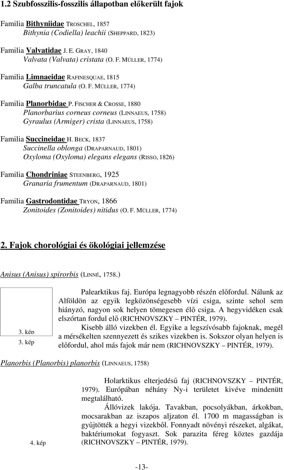 FISCHER & CROSSE, 188 Planorbarius corneus corneus (LINNAEUS, 1758) Gyraulus (Armiger) crista (LINNAEUS, 1758) Familia Succineidae H.