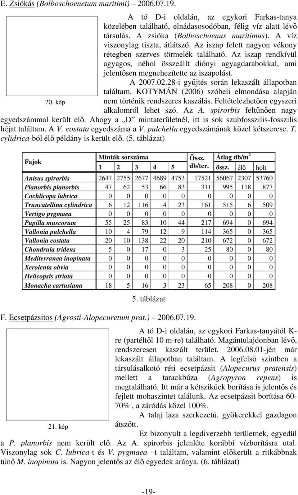 Az iszap rendkívül agyagos, néhol összeállt diónyi agyagdarabokkal, ami jelentősen megnehezítette az iszapolást. A 27.2.28-i gyűjtés során lekaszált állapotban találtam.