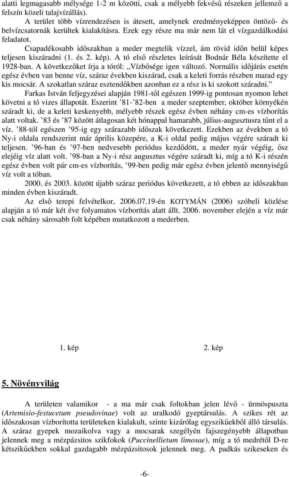 Csapadékosabb időszakban a meder megtelik vízzel, ám rövid időn belül képes teljesen kiszáradni (1. és 2. kép). A tó első részletes leírását Bodnár Béla készítette el 1928-ban.