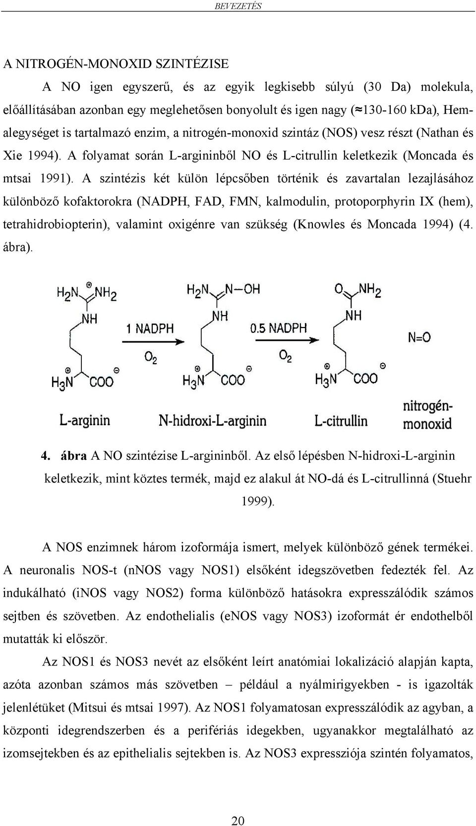 A szintézis két külön lépcsőben történik és zavartalan lezajlásához különböző kofaktorokra (NADPH, FAD, FMN, kalmodulin, protoporphyrin IX (hem), tetrahidrobiopterin), valamint oxigénre van szükség