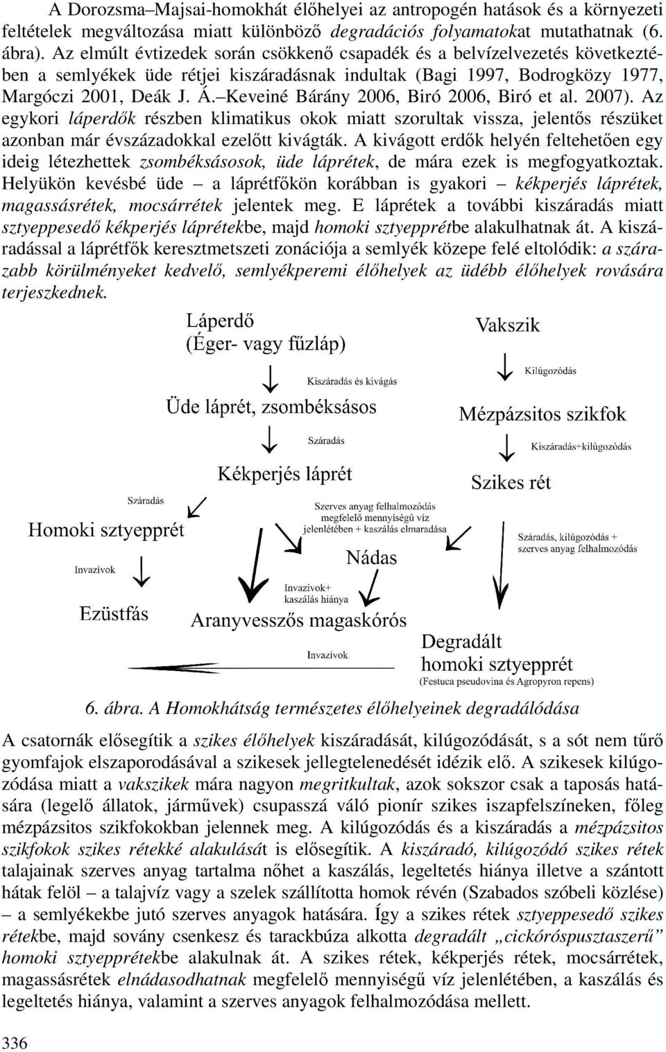 Keveiné Bárány 2006, Biró 2006, Biró et al. 2007). Az egykori láperdık részben klimatikus okok miatt szorultak vissza, jelentıs részüket azonban már évszázadokkal ezelıtt kivágták.