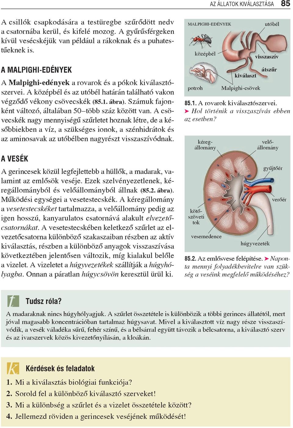 Számuk fajonként változó, általában 50 több száz között van.