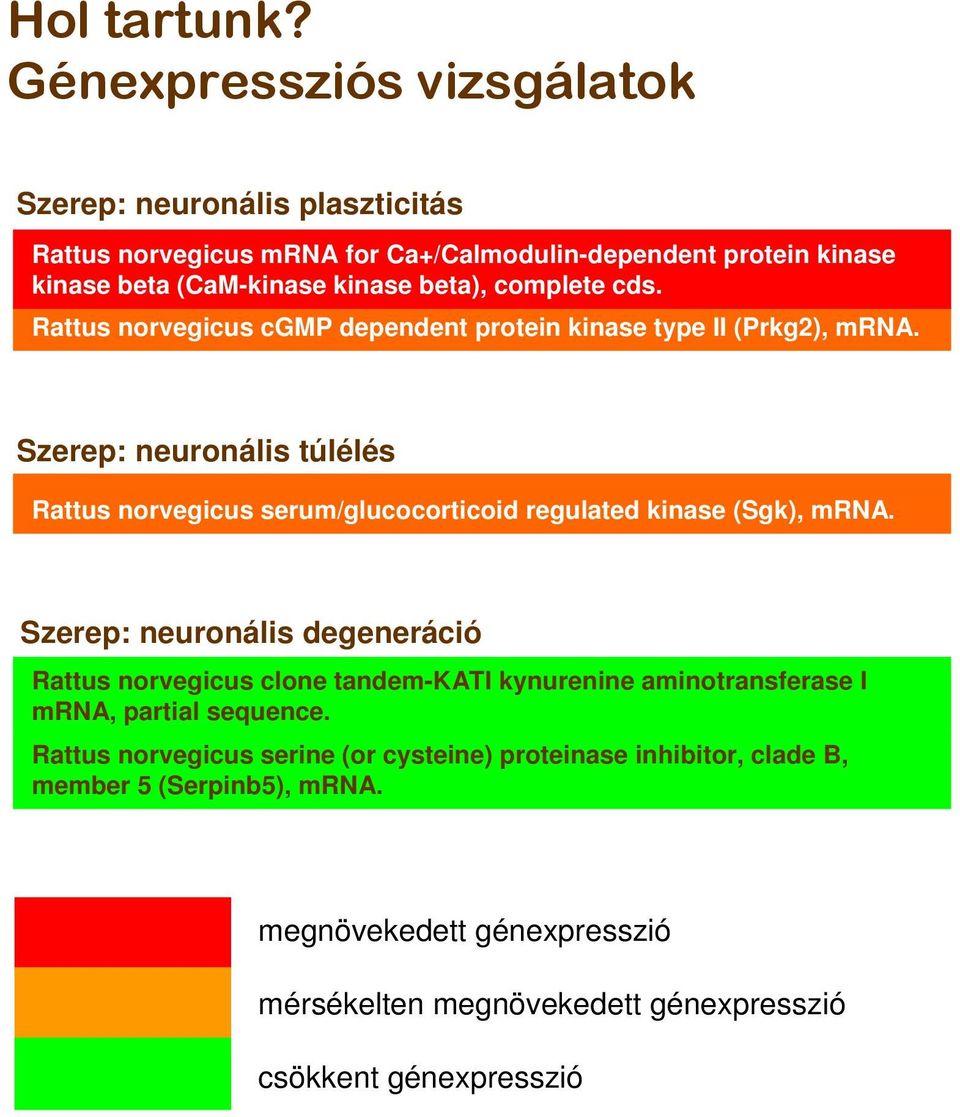 complete cds. Rattus norvegicus cgmp dependent protein kinase type II (Prkg2), mrna.