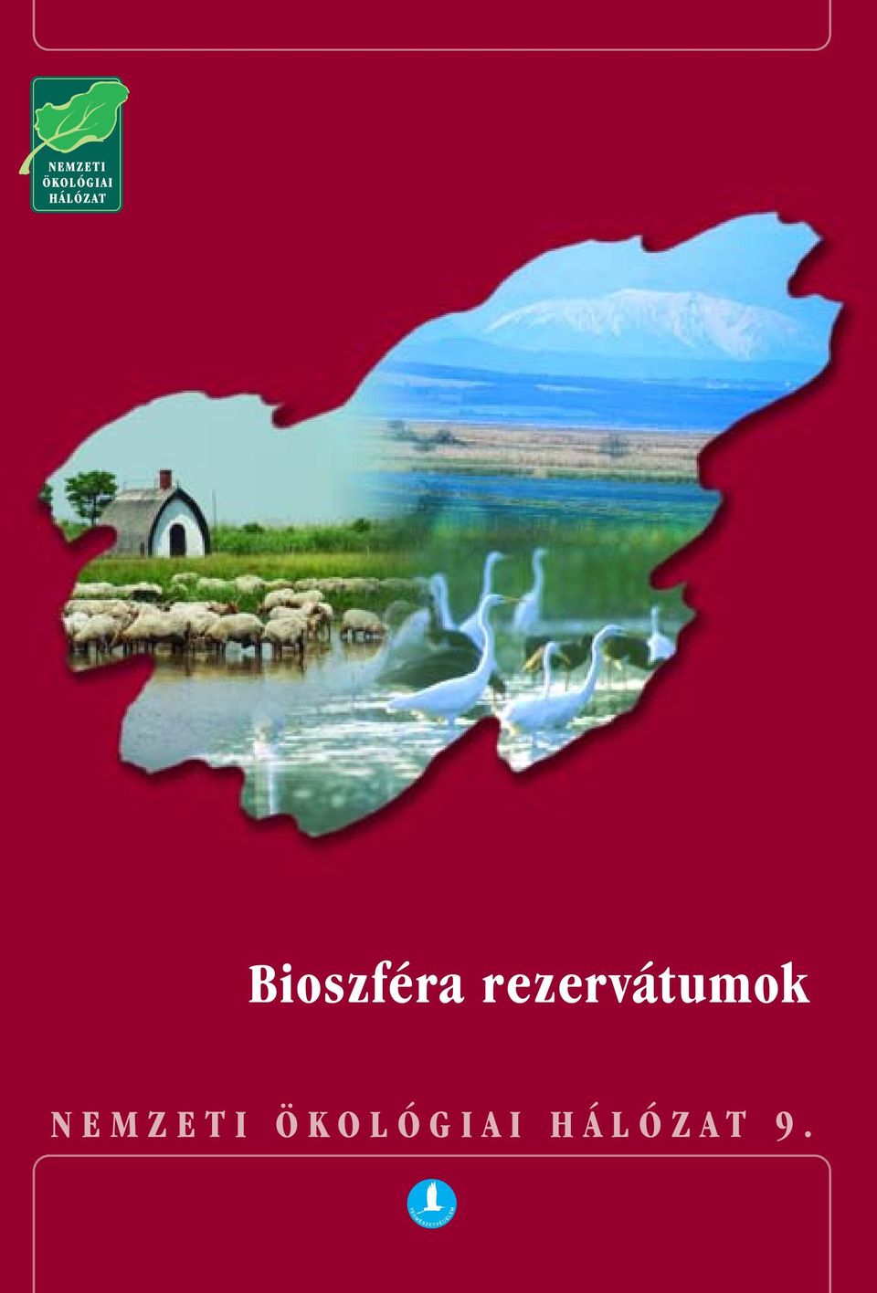 NEMZETI