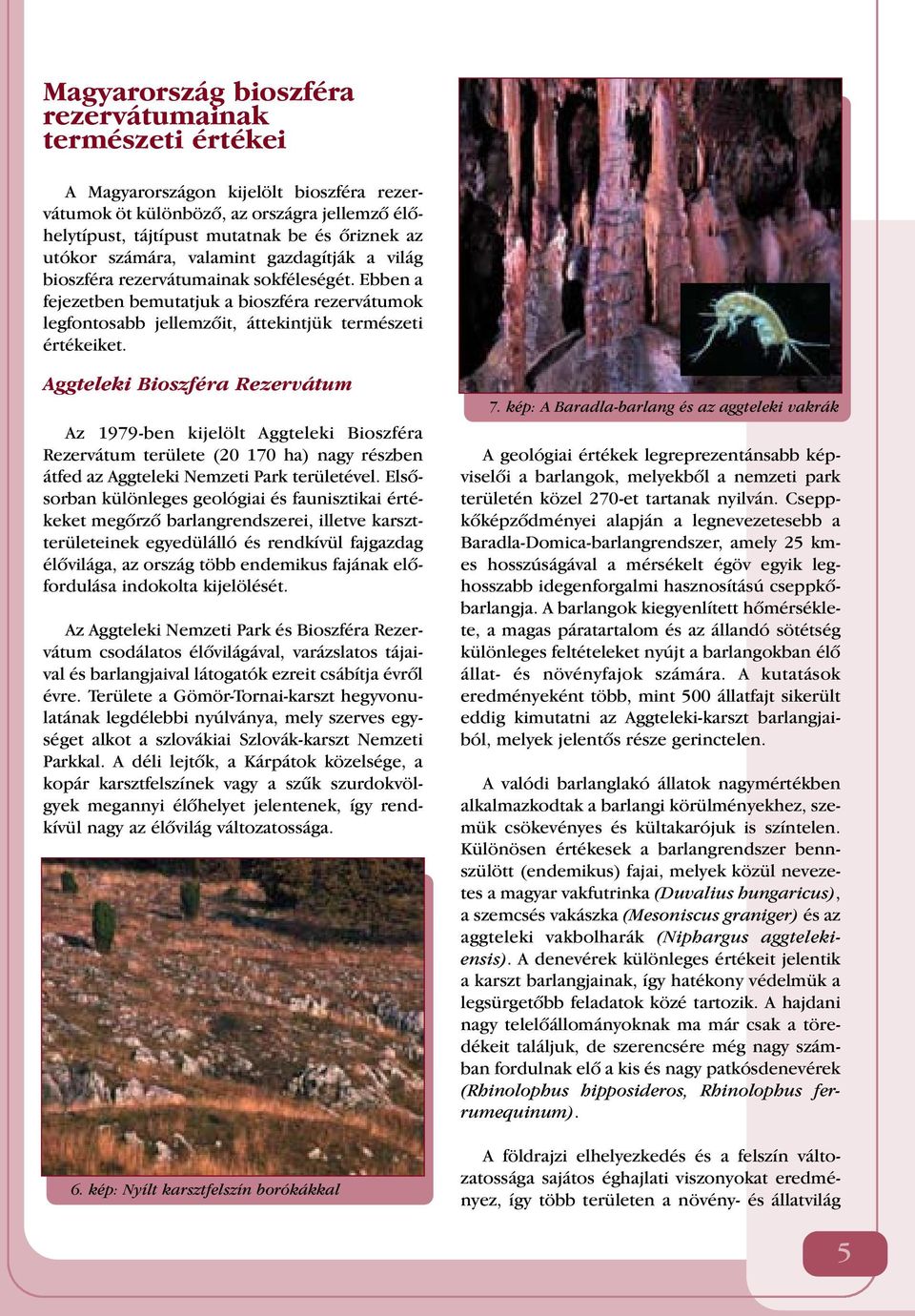 Aggteleki Bioszféra Rezervátum Az 1979-ben kijelölt Aggteleki Bioszféra Rezervátum területe (20 170 ha) nagy részben átfed az Aggteleki Nemzeti Park területével.
