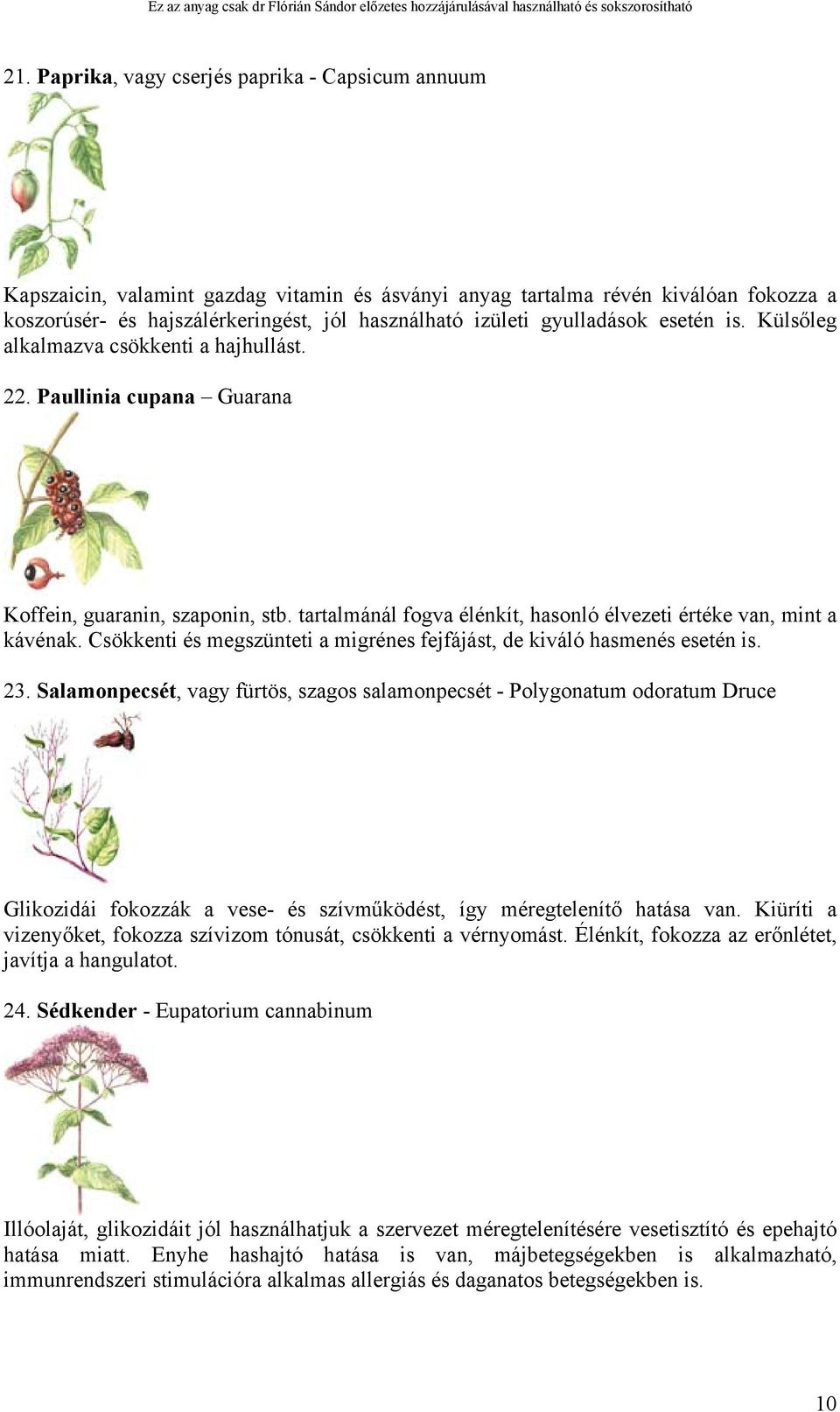 tartalmánál fogva élénkít, hasonló élvezeti értéke van, mint a kávénak. Csökkenti és megszünteti a migrénes fejfájást, de kiváló hasmenés esetén is. 23.