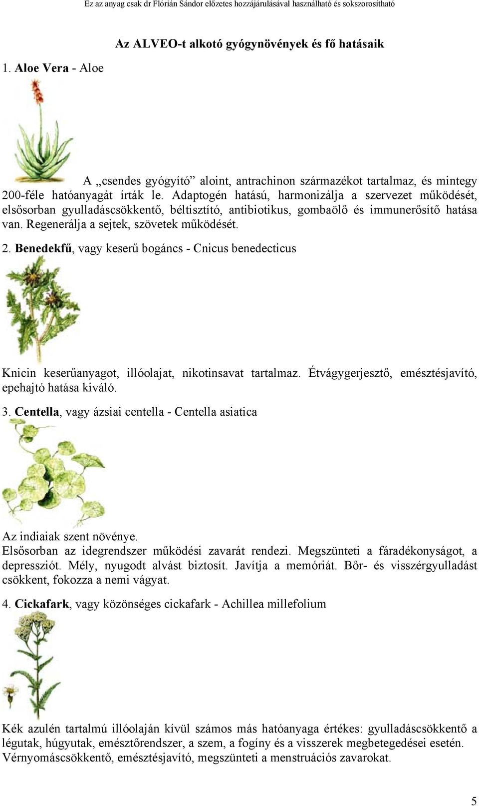 Benedekfű, vagy keserű bogáncs - Cnicus benedecticus Knicin keserűanyagot, illóolajat, nikotinsavat tartalmaz. Étvágygerjesztő, emésztésjavító, epehajtó hatása kiváló. 3.