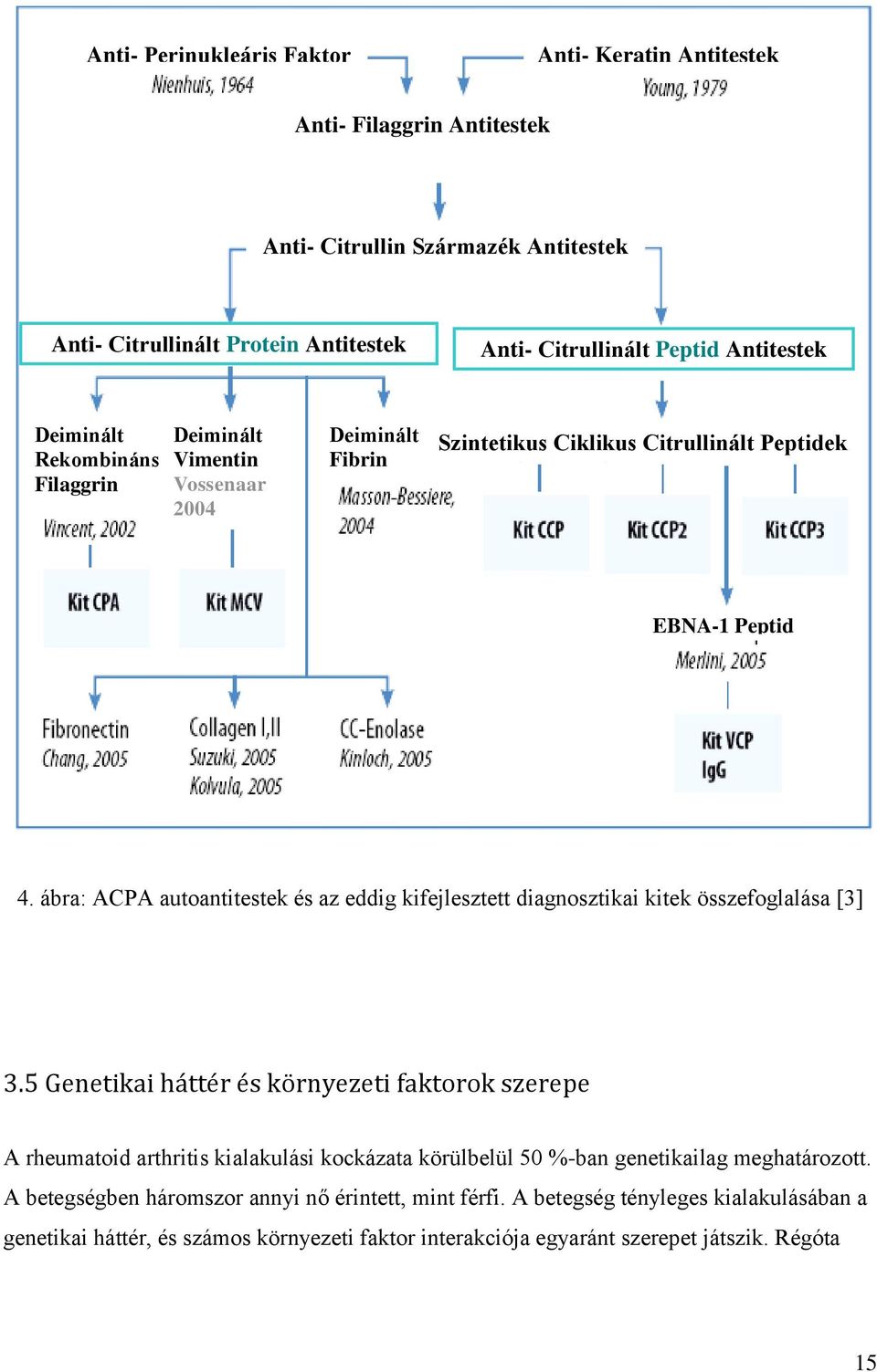 ábra: ACPA autoantitestek és az eddig kifejlesztett diagnosztikai kitek összefoglalása [3] 3.