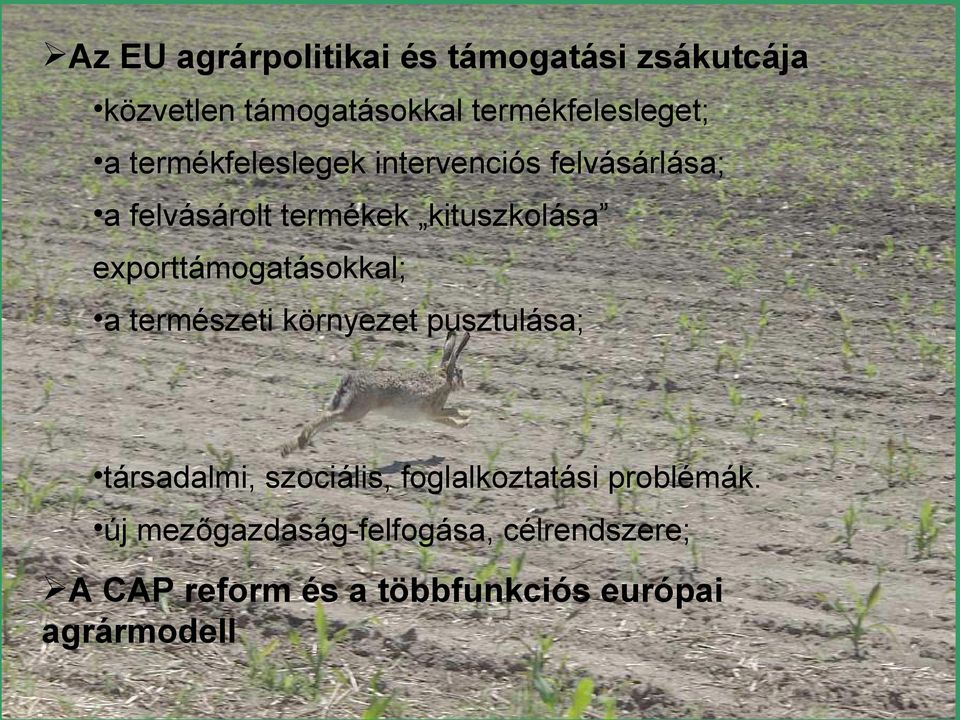exporttámogatásokkal; a természeti környezet pusztulása; társadalmi, szociális,