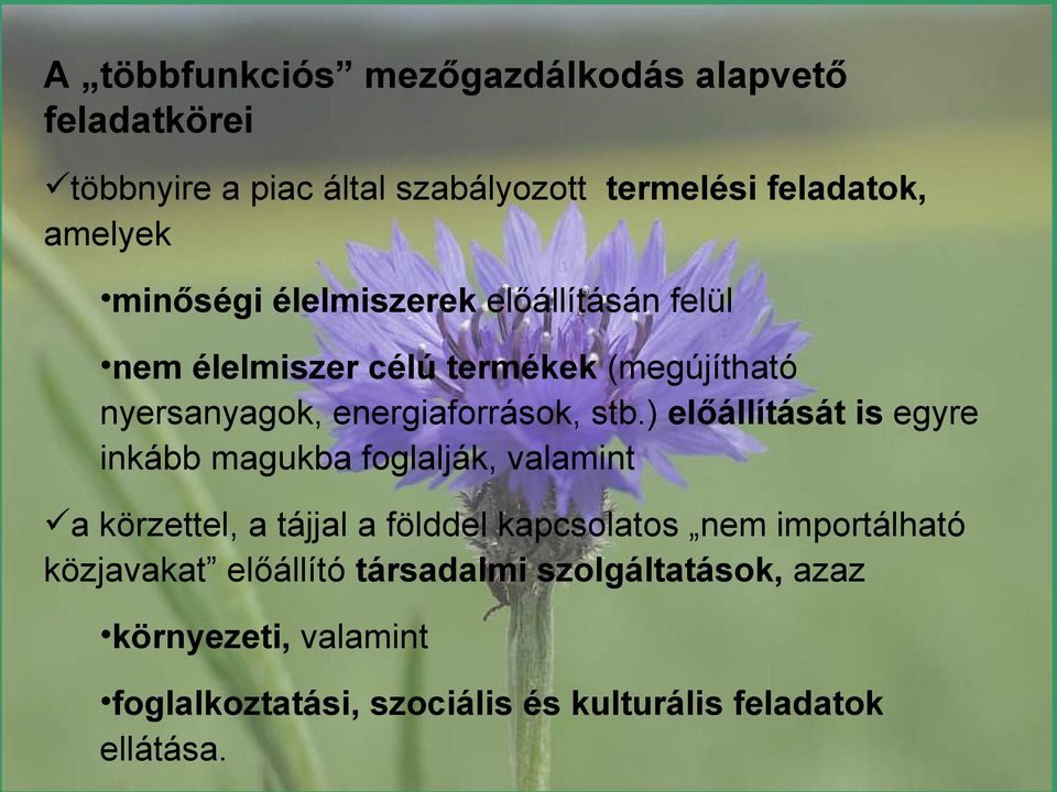) előállítását is egyre inkább magukba foglalják, valamint a körzettel, a tájjal a földdel kapcsolatos nem importálható