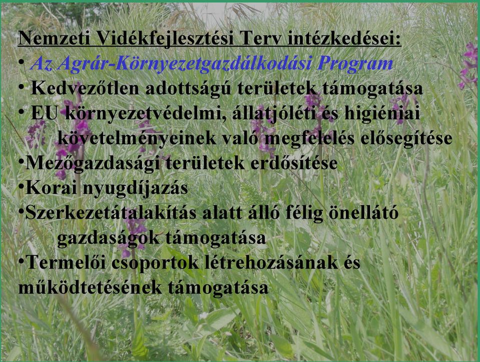 megfelelés elősegítése Mezőgazdasági területek erdősítése Korai nyugdíjazás Szerkezetátalakítás