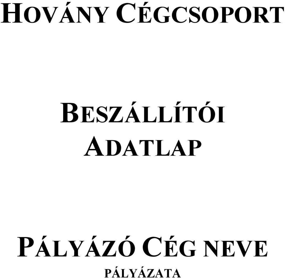 PÁLYÁZÓ CÉG