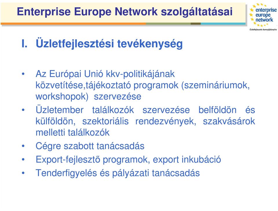(szemináriumok, workshopok) szervezése Üzletember találkozók szervezése belföldön és külföldön,