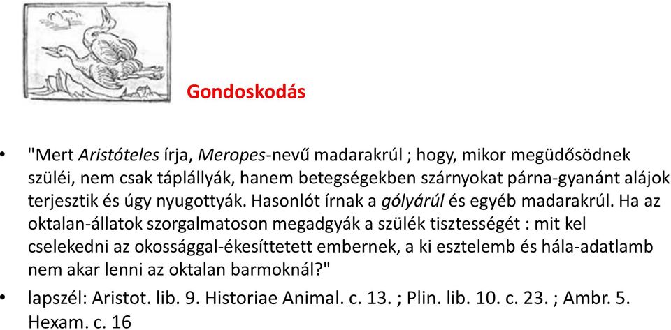 Ha az oktalan-állatok szorgalmatoson megadgyák a szülék tisztességét : mit kel cselekedni az okossággal-ékesíttetett embernek, a ki