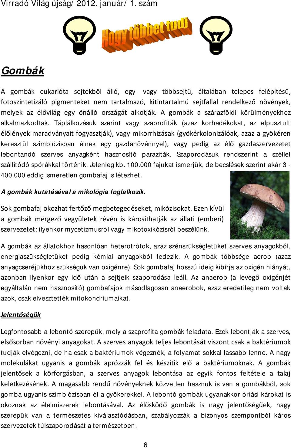 Táplálkozásuk szerint vagy szaprofiták (azaz korhadékokat, az elpusztult élőlények maradványait fogyasztják), vagy mikorrhizásak (gyökérkolonizálóak, azaz a gyökéren keresztül szimbiózisban élnek egy