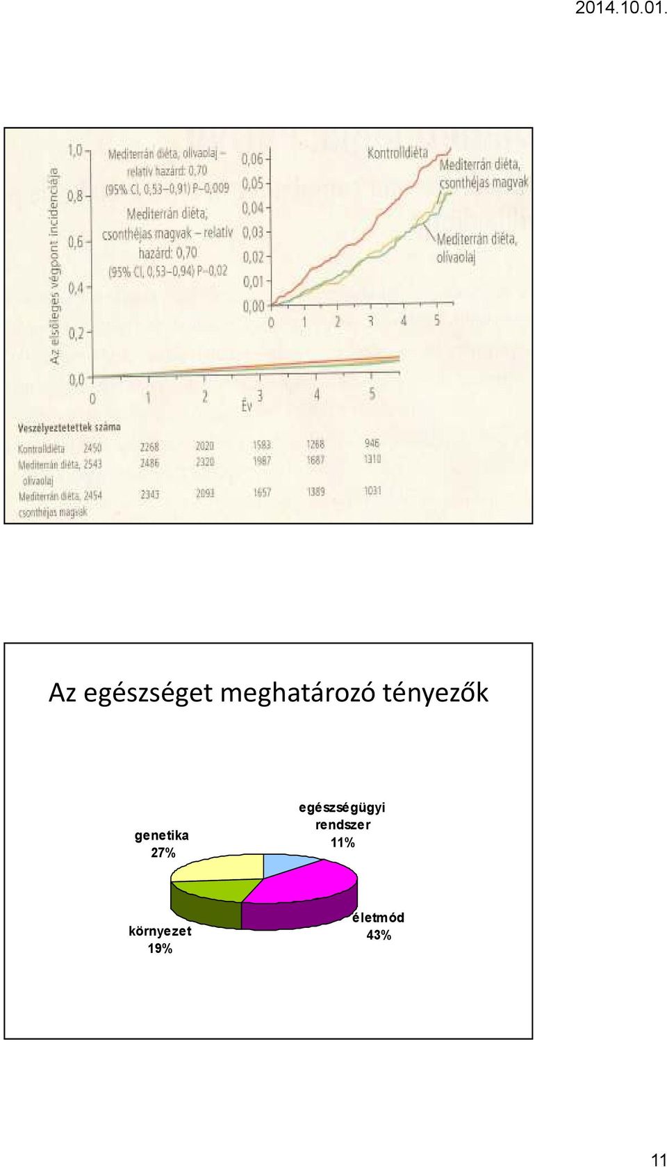 egészségügyi rendszer 11%