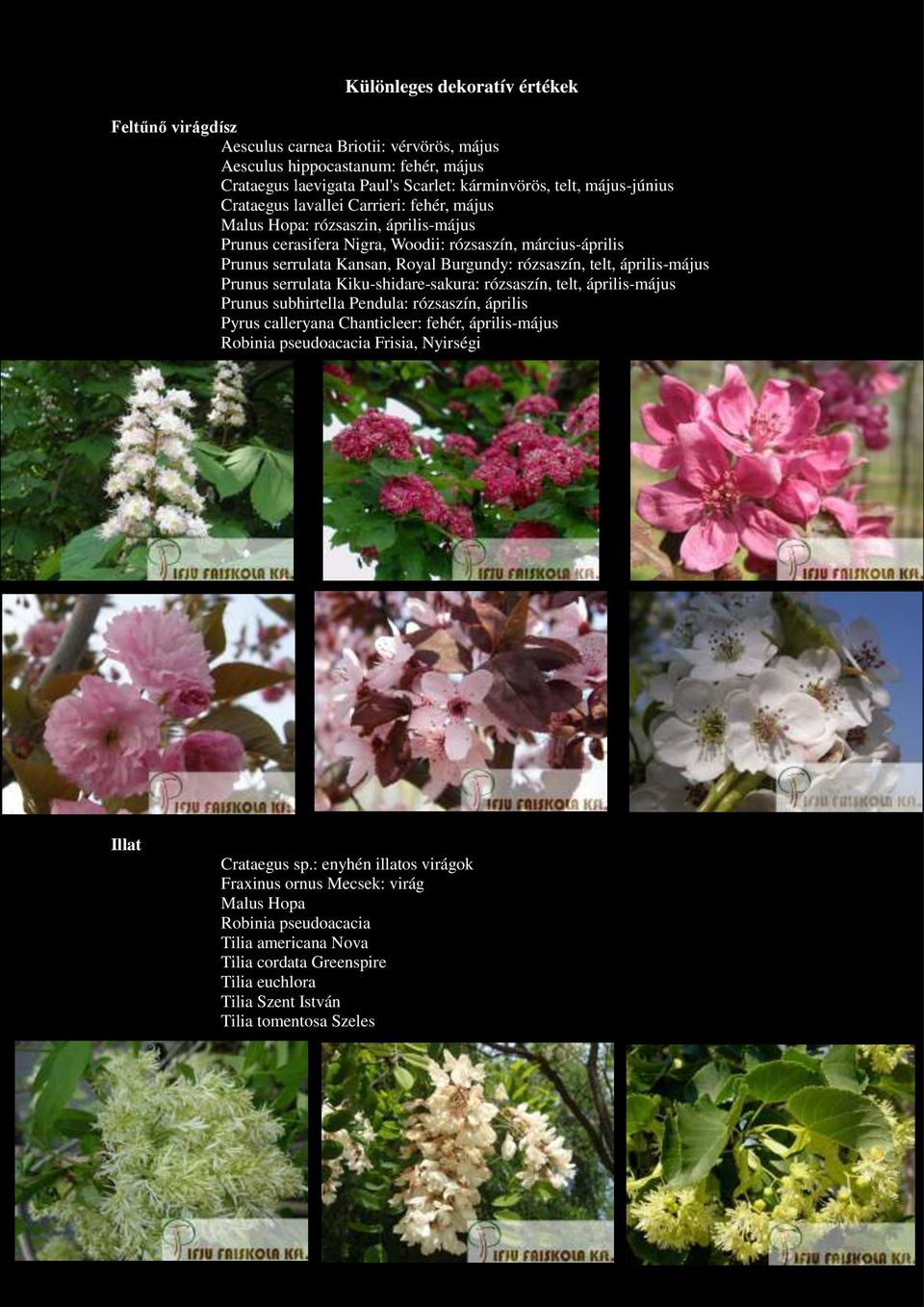 április-május Prunus serrulata Kiku-shidare-sakura: rózsaszín, telt, április-május Prunus subhirtella Pendula: rózsaszín, április Pyrus calleryana Chanticleer: fehér,
