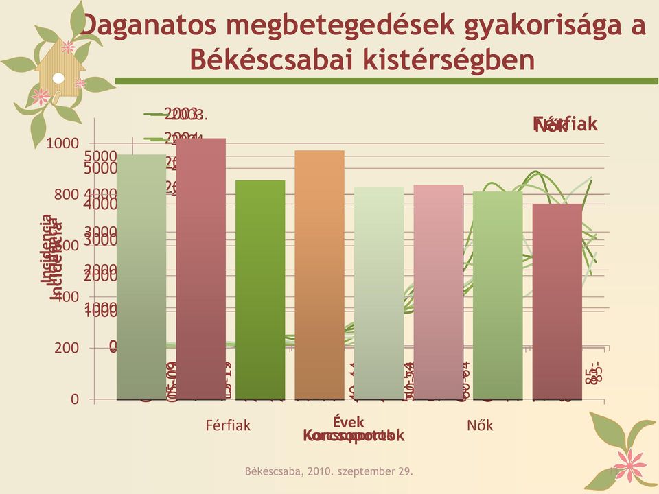 kistérségben 1000 800 5000 5000 4000 4000 2003. 2004. 2005. 2006.