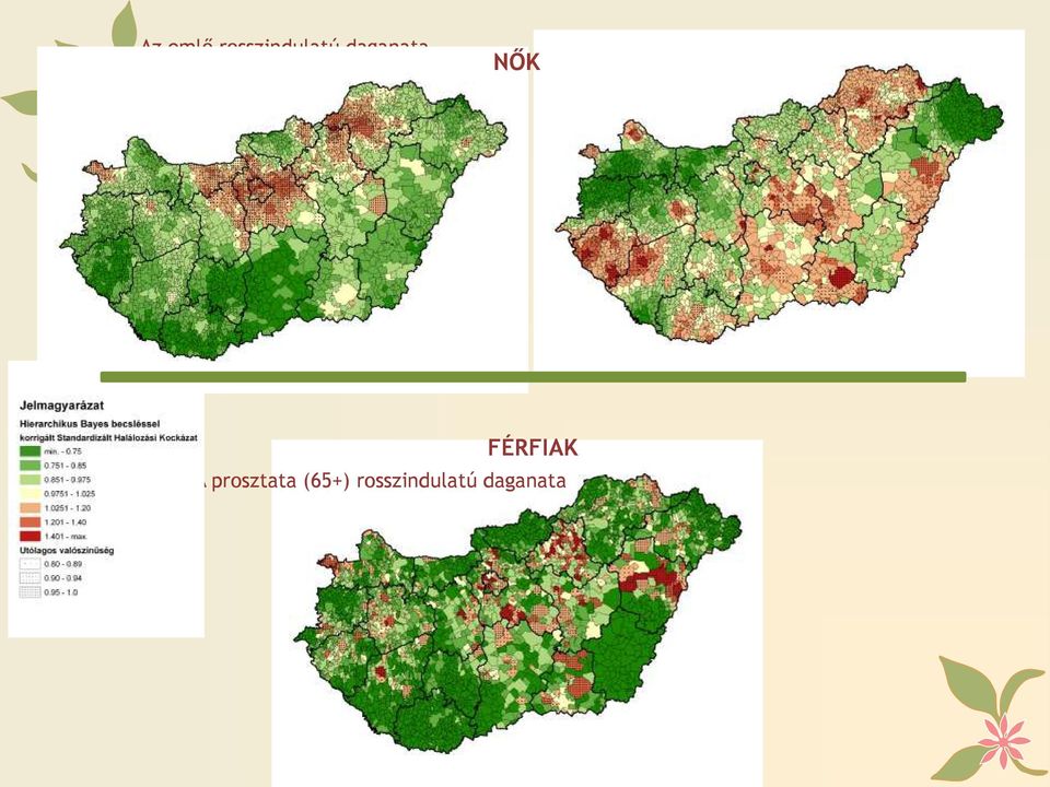 rosszindulatú daganata