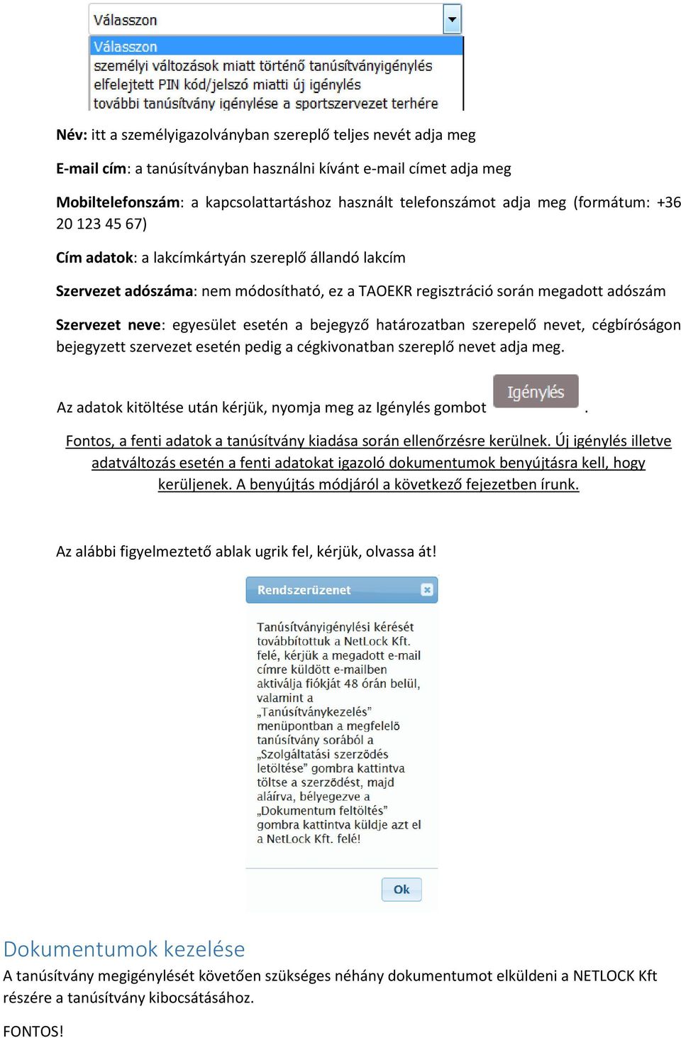 esetén a bejegyző határozatban szerepelő nevet, cégbíróságon bejegyzett szervezet esetén pedig a cégkivonatban szereplő nevet adja meg. Az adatok kitöltése után kérjük, nyomja meg az Igénylés gombot.