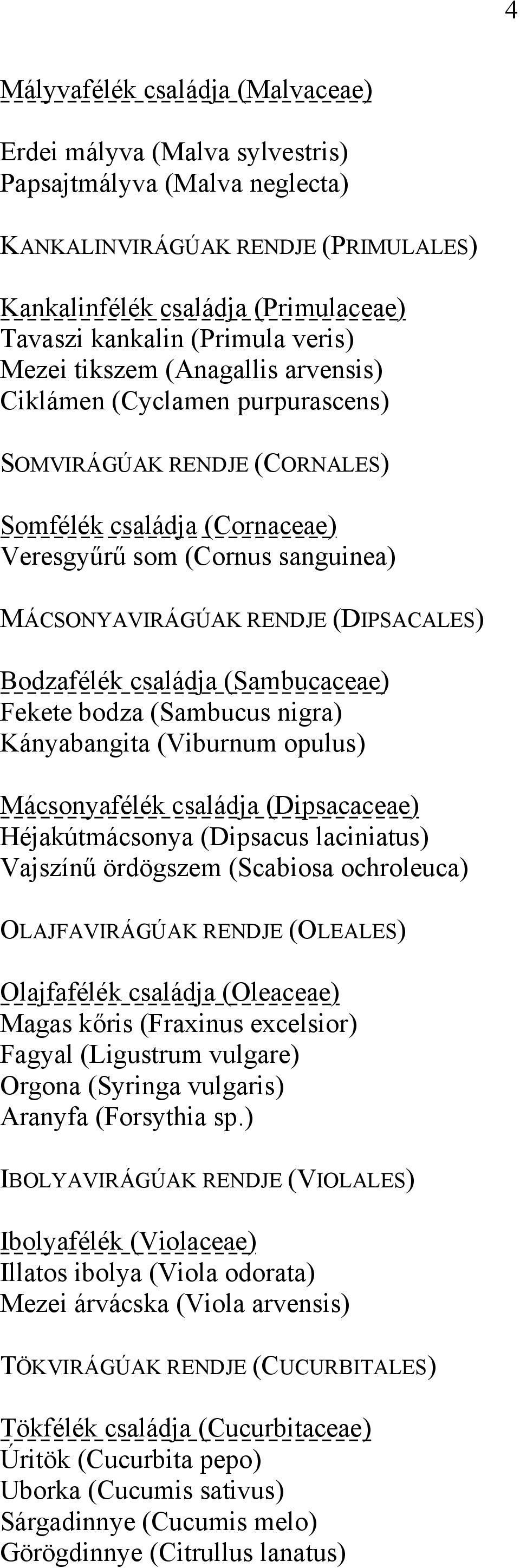 (DIPSACALES) Bodzafélék családja (Sambucaceae) Fekete bodza (Sambucus nigra) Kányabangita (Viburnum opulus) Mácsonyafélék családja (Dipsacaceae) Héjakútmácsonya (Dipsacus laciniatus) Vajszínű