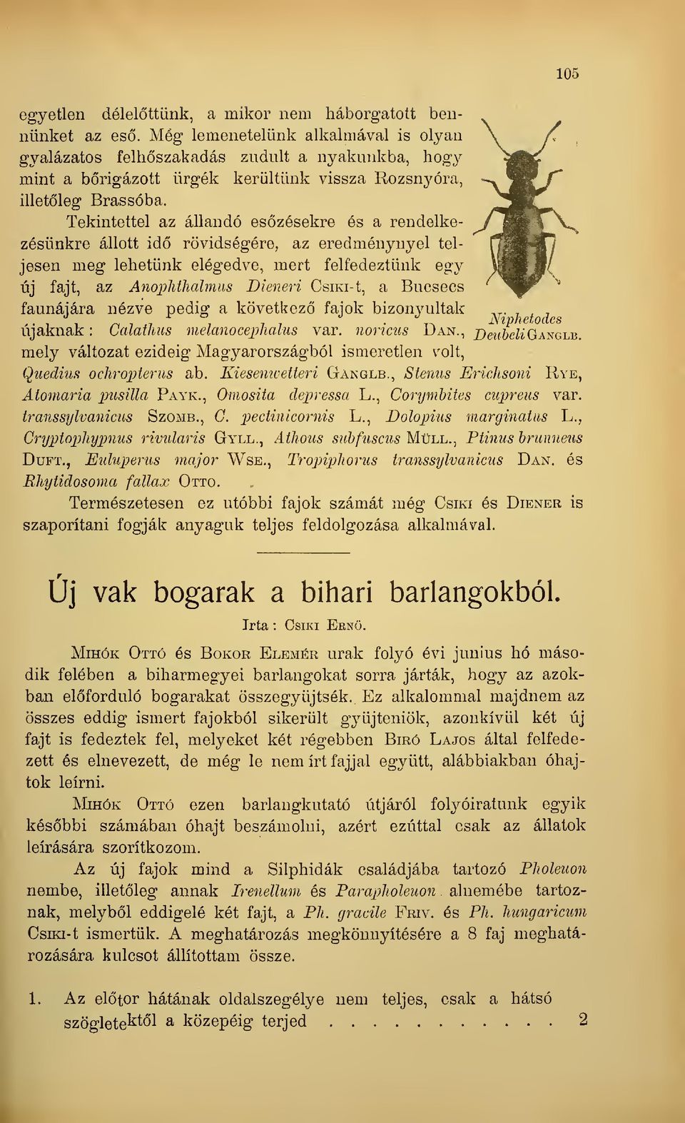 Tekintettel az állandó eszésekre és a rendelkezésünkre állott id rövidségére, az eredménynyel teljesen meg lehetünk elégedve, mert felfedeztünk egy új fajt, az Anoplitludmus Dieneri CsiKi-t, a