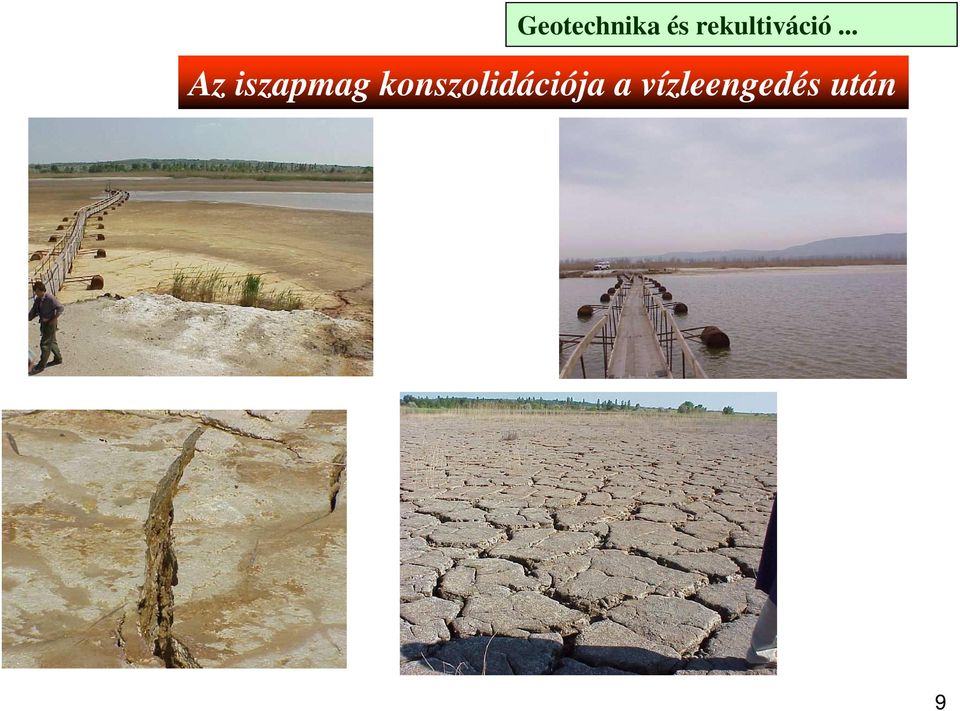 .. Az iszapmag