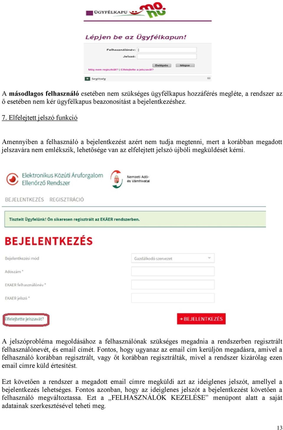 megküldését kérni. A jelszóprobléma megoldásához a felhasználónak szükséges megadnia a rendszerben regisztrált felhasználónevét, és email címét.