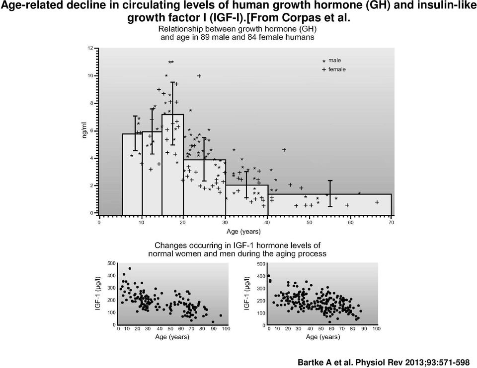 insulin-like growth factor I (IGF-I).
