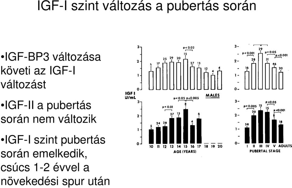 pubertás során nem változik IGF-I szint pubertás