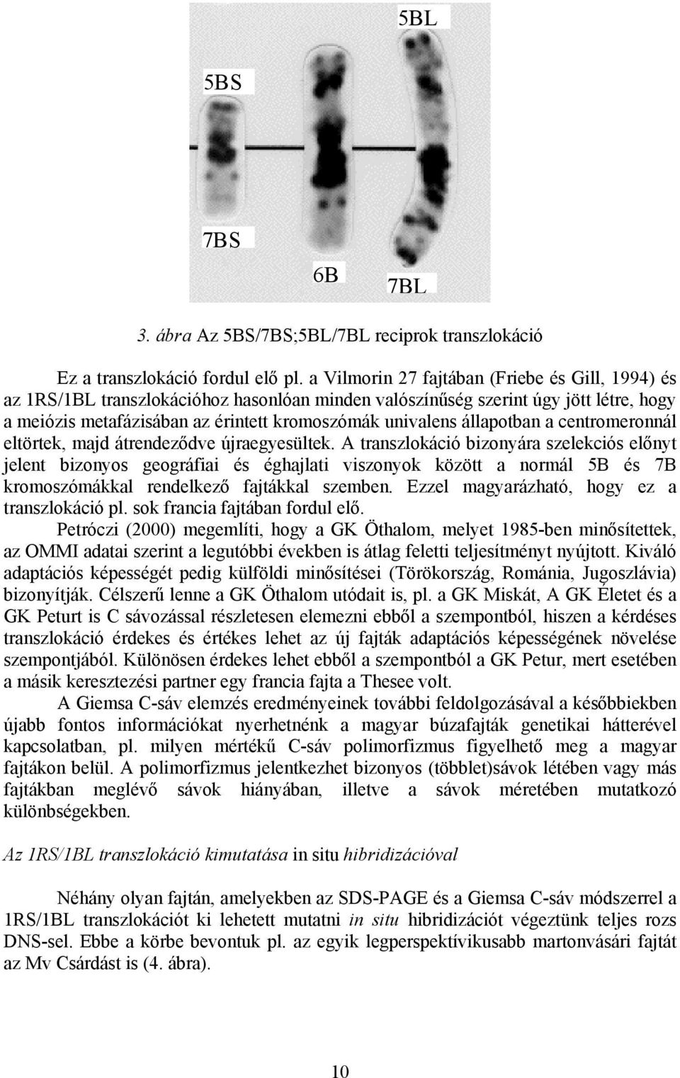 állapotban a centromeronnál eltörtek, majd átrendeződve újraegyesültek.