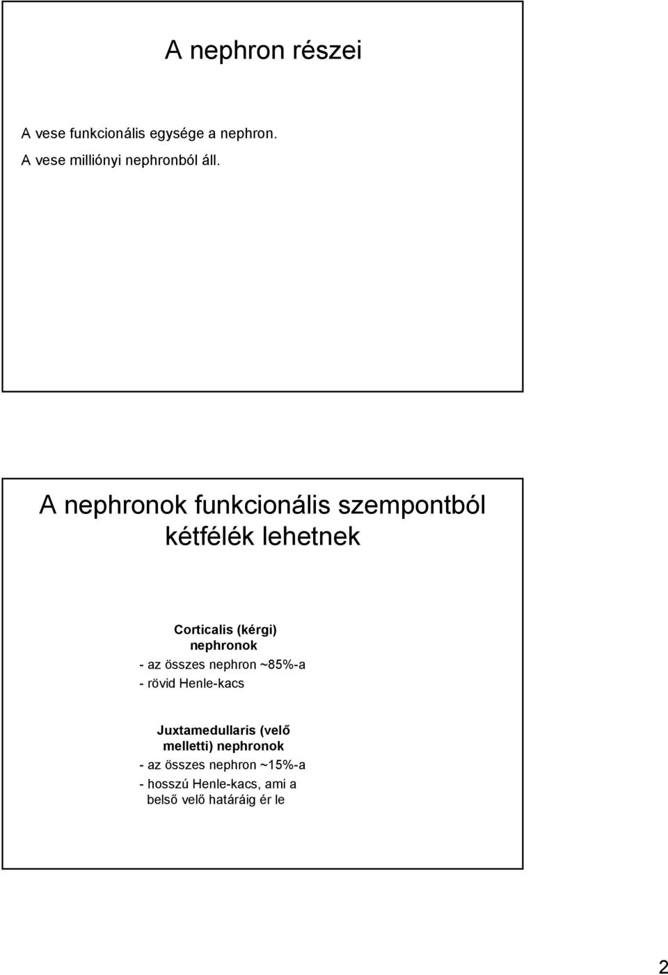 A nephronok funkcionális szempontból kétfélék lehetnek Corticalis (kérgi) nephronok -