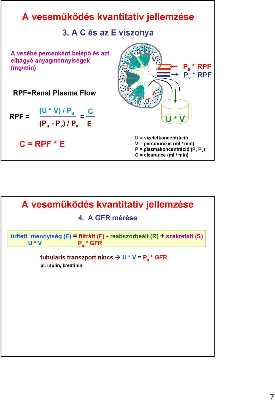 (U * V) / P a = (P a -P v ) / P a C E U * V C = RPF * E U = vizeletkoncentráció V = percdiurézis (ml / min) P = plazmakoncentráció (P a P