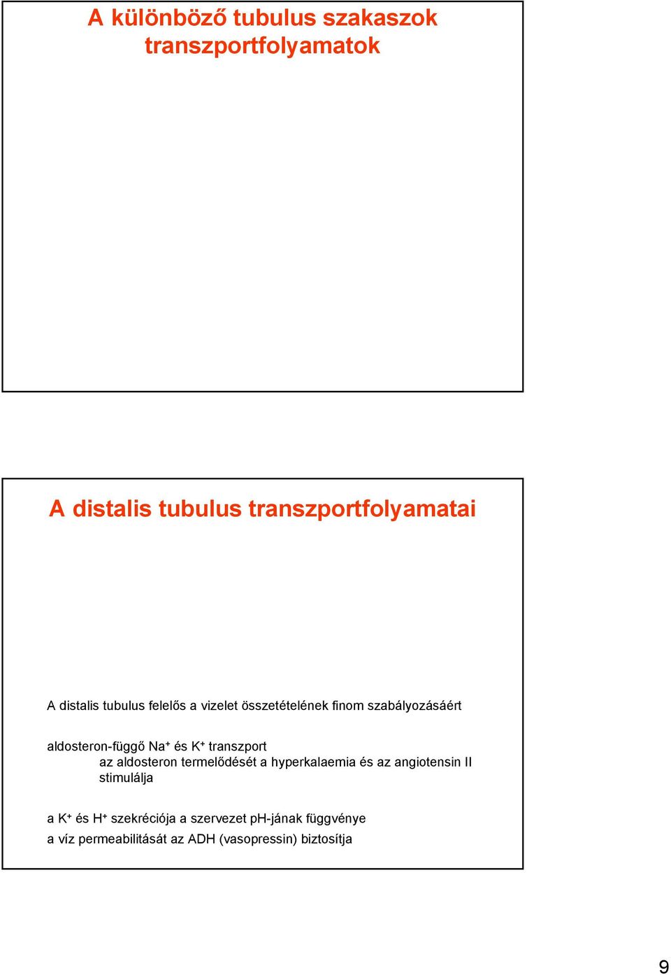 K + transzport az aldosteron termelődését a hyperkalaemia és az angiotensin II stimulálja a K +