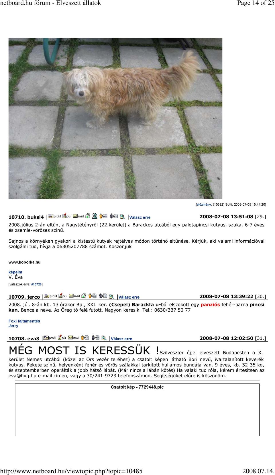 Kérjük, aki valami információval szolgálni tud, hívja a 06305207788 számot. Köszönjük www.koborka.hu képeim V. Éva [válaszok erre: #10726] 10709. jerco Válasz erre 2008-07-08 13:39:22 [30.] 2008. júl.