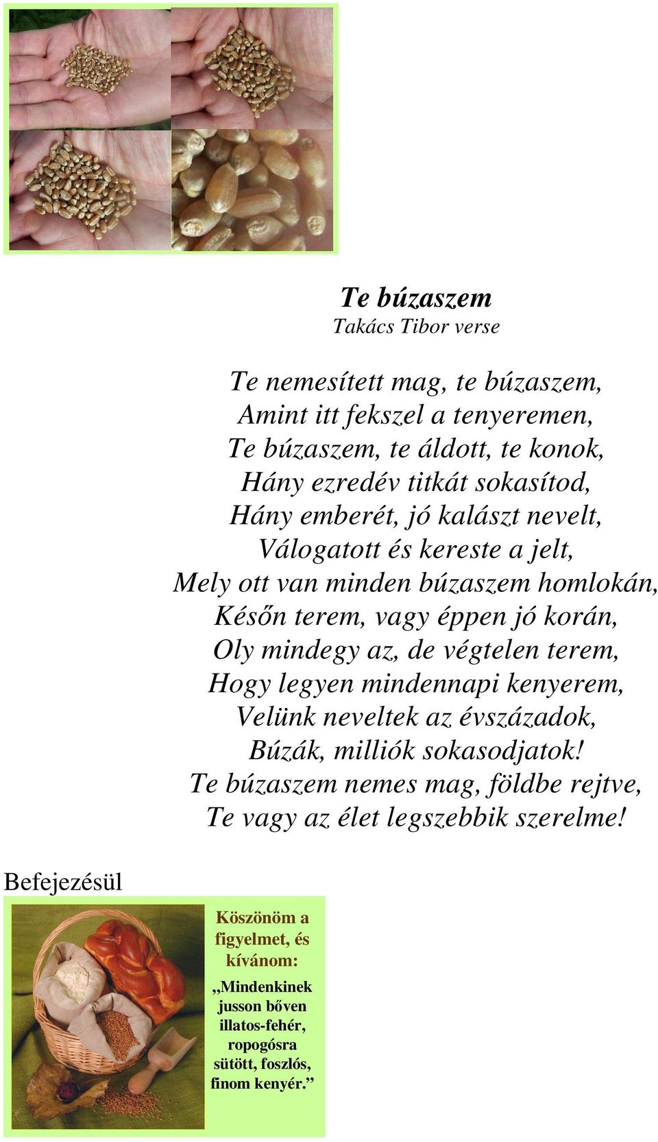 mindegy az, de végtelen terem, Hogy legyen mindennapi kenyerem, Velünk neveltek az évszázadok, Búzák, milliók sokasodjatok!