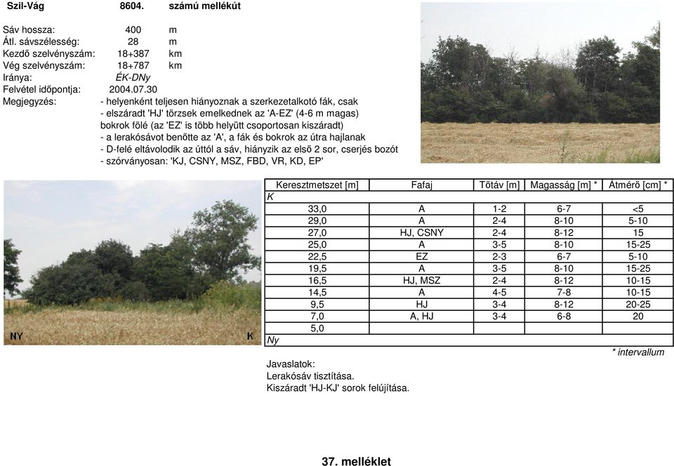 benőtte az 'A', a fák és bokrok az útra hajlanak - -felé eltávolodik az úttól a sáv, hiányzik az első 2 sor, cserjés bozót - szórványosan: 'KJ, CSNY, MSZ, FB, VR, K, EP' K 33,0 A 1-2 6-7 <5 29,0 A