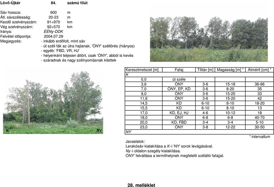 szélnyomásnak kitettek K 0,0 út széle 3,6 ÓNY 3-6 15-18 36-66 7,0 ÓNY, EP, K 3-6 8-20 35 9,0 ÓNY 3-6 15-20 33 11,6 ÓNY 3-6 15-20 42 14,5 K 6-10 8-10 18-20 15,5 K 6-10 8-10 13 17,0 K, EJ, HJ 4-6