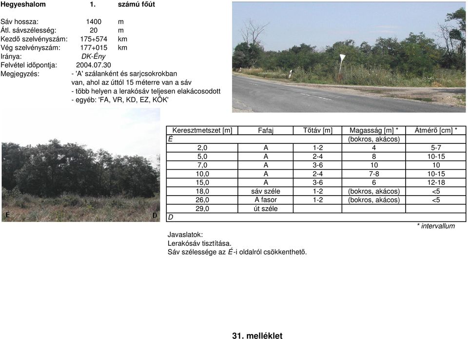30 - 'A' szálanként és sarjcsokrokban van, ahol az úttól 15 méterre van a sáv - több helyen a lerakósáv teljesen elakácosodott - egyéb: 'FA, VR, K,
